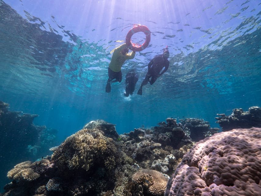 nageurs dans la mer de la barriere de corail